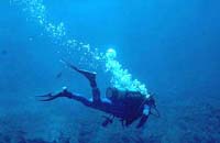 Diver Image - Web Site Design